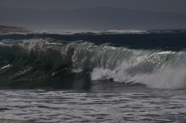Moss Landing shoreline